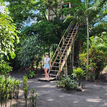 Tanna Volcano View Tree House Lenkuru Esterno foto