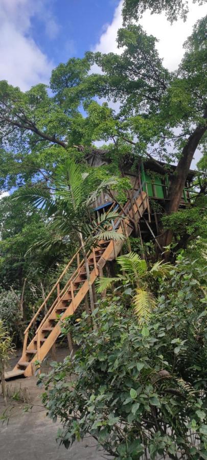 Tanna Volcano View Tree House Lenkuru Esterno foto